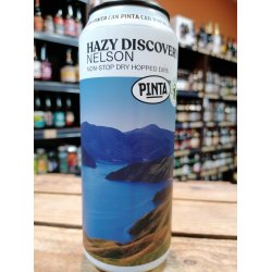 PINTA Hazy Discovery Nelson